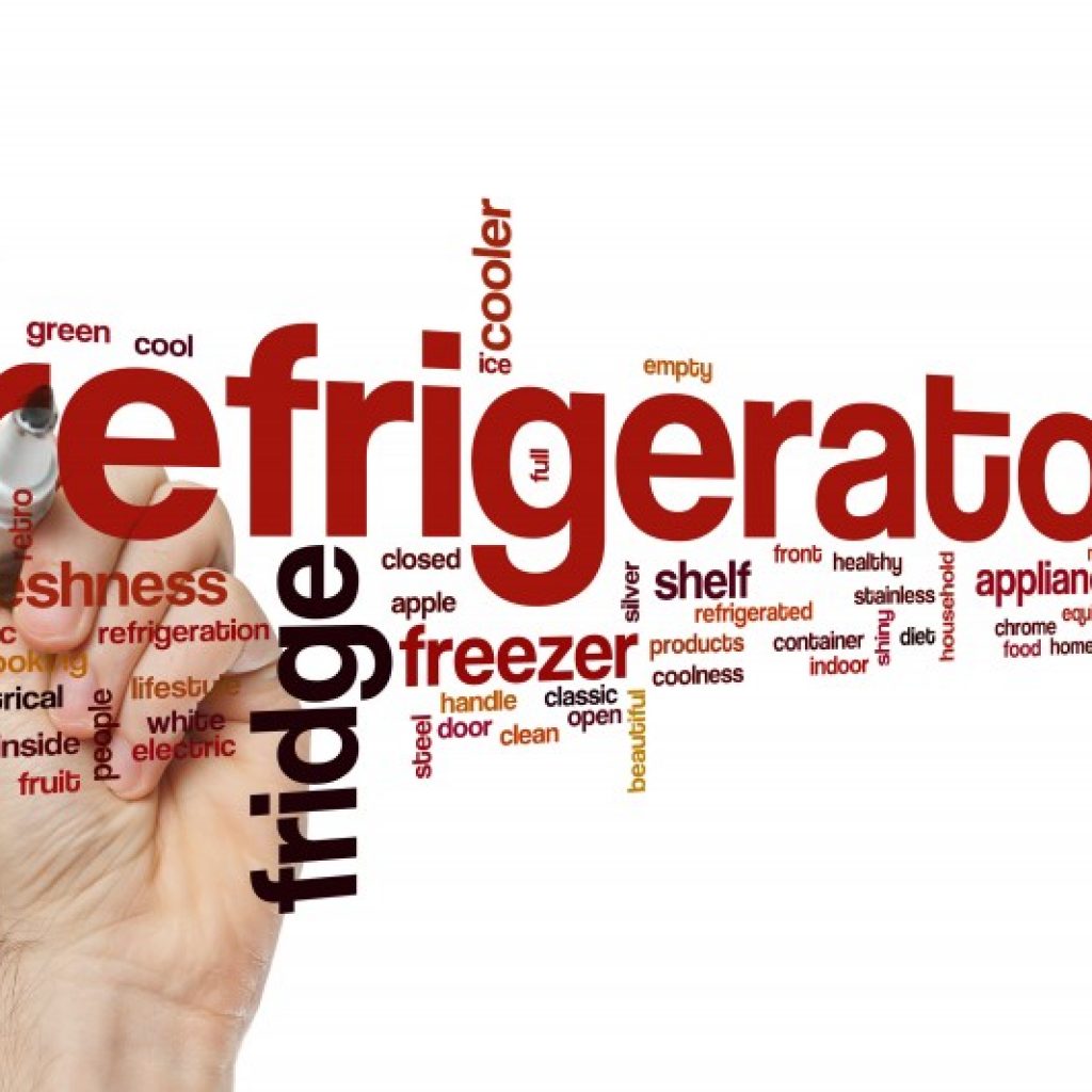 Signs Your Refrigerator Might Need Servicing All Area Appliance