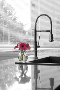 modern kitchen counter, sink, faucet & flowers - partially toned