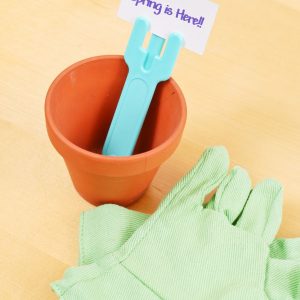 tips to clean your house in spring