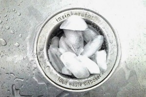 Disposal with ice