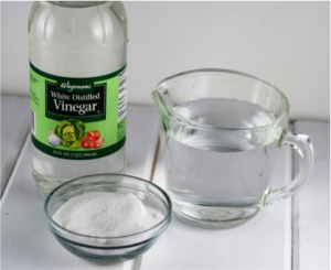 White vinegar & salt