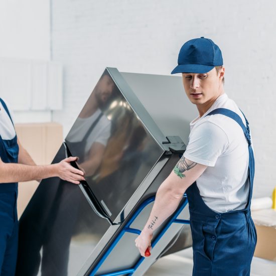 Why A New Fridge Needs To Settle Before You Turn It On All Area Appliance