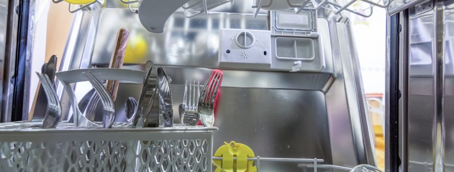 Preventive measures to keep cockroaches away from dishwasher All Area